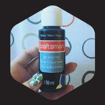 Photo of Satin Acrylic Paint, 2 in Black by Craft Smart uploaded by Mariana J.