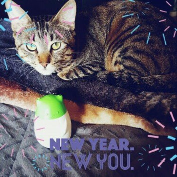 Photo of TEMPTATIONS™ Snacky Mouse Cat Toy uploaded by Vanessa c.
