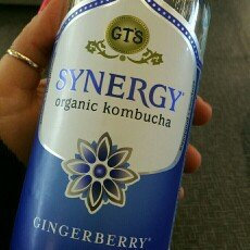Photo of GT's Raw Organic Kombucha Gingerberry uploaded by Dina M.