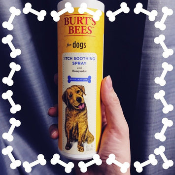 Photo of Burt's Bees Burts Itch Soothing Dog Spray uploaded by Brittany D.