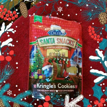Photo of THE BLUE BUFFALO CO. BLUE™ SantaSnacks® Oatmeal & Cinnamon Crunchy Dog Biscuits Dog Treat uploaded by Laura A.