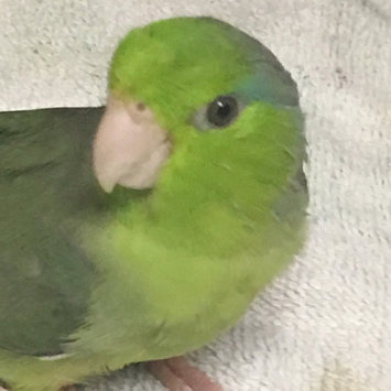 Photo of Kaytee Products Inc - Supreme- Parakeet 5 Pound uploaded by Deb K.