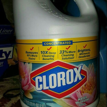 Photo of Clorox Concentrated Regular Bleach uploaded by Erica S.