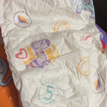 Photo of Babies