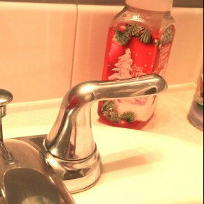 Photo of Bath & Body Works® Winter Cranberry Gentle Foaming Hand Soap uploaded by Carolyn M.