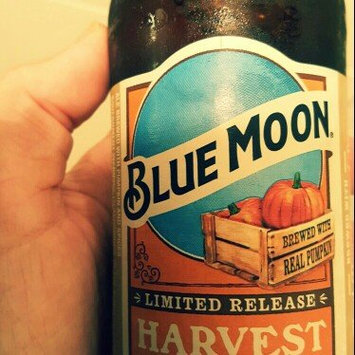 Photo of Blue Moon Seasonal Collection Harvest Pumpkin Ale uploaded by Heather C.