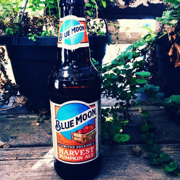 Photo of Blue Moon Seasonal Collection Harvest Pumpkin Ale uploaded by Shelby B.