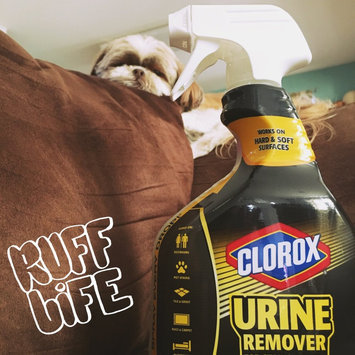Photo of Clorox® Urine Remover uploaded by Ranae W.