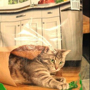 Photo of Friskies® Indoor Delights Cat Food uploaded by Simone B.