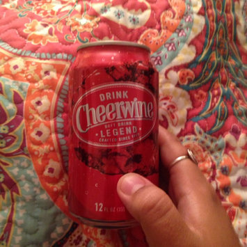 Photo of Cheerwine Unique Sparkling Soft Drink - 4 CT uploaded by Angela K.
