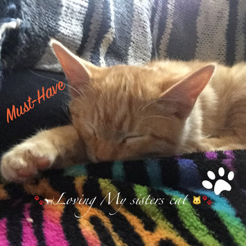 Photo of ASPCA uploaded by Vicky S.