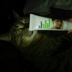 Photo of Boots Expert Anti-Blemish Night Moisturiser uploaded by Pattie S.