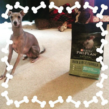 Photo of PRO PLAN® NATURAL GRAIN FREE ADULT Duck & Rice Formula uploaded by Amanda R.