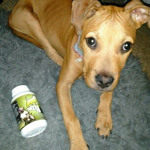 Photo of Bully Max The Ultimate Canine Supplement, 60 Tablets uploaded by Davonta J.