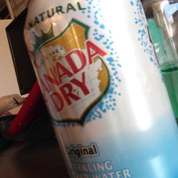 Photo of Canada Dry Original Sparkling Seltzer Water uploaded by David F.