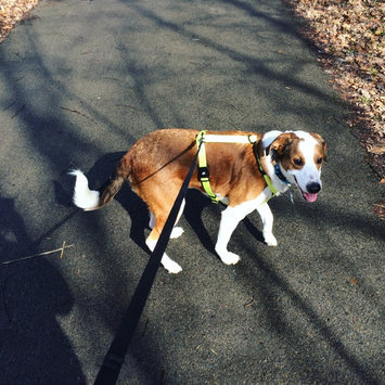 Photo of Humane Society of the United States uploaded by Jada T.