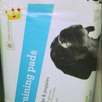 Photo of Pet Shoppe Maximum Protection Training Pads for Dogs & Puppies uploaded by Waleska C.