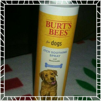 Photo of Burt's Bees Burts Itch Soothing Dog Spray uploaded by Stephanie W.