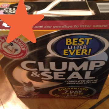 Photo of ARM & HAMMER™ Clump & Seal Complete Odor Sealing Clumping Litter Multi-Cat uploaded by Danielle S.