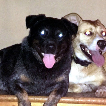 Photo of THE BLUE BUFFALO CO. BLUE™ Wilderness® Rocky Mountain Recipe™ Red Meat For Adult Dogs uploaded by Julie M.