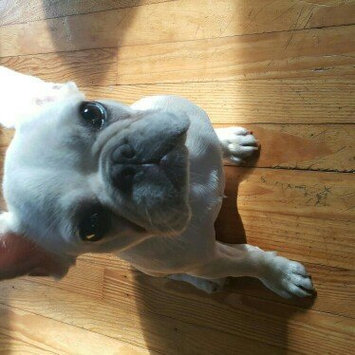 Photo of THE BLUE BUFFALO CO. BLUE™ Life Protection Formula® Chicken and Brown Rice Recipe For Puppies uploaded by gloria t.