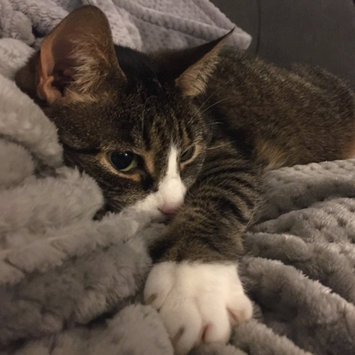 Photo of Humane Society of the United States uploaded by Kathleen F.