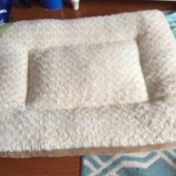 Photo of Top Paw Double Orthopedic Pet Bed uploaded by Allysa B.