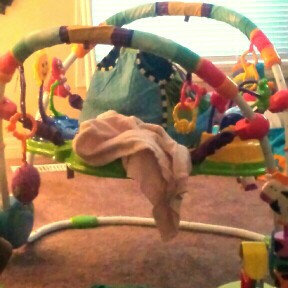 Photo of Baby Einstein Jumper - Neighborhood Friends uploaded by Christine K.