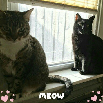 Photo of PURINA ONE® Indoor Advantage Hairball & Healthy Weight Cat Food uploaded by Marissa R.