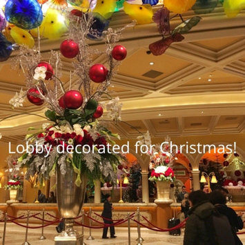 Photo of The Bellagio Hotel Las Vegas uploaded by Lauryn N.