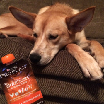 Photo of PRO PLAN® ADDITIONS™ Healthy Digestive System With Prebiotic Fiber Chicken & Pumpkin Puree uploaded by Kelsey S.