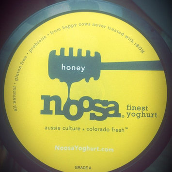 Photo of Noosa Gluten Free Honey Yoghurt uploaded by Brandi W.