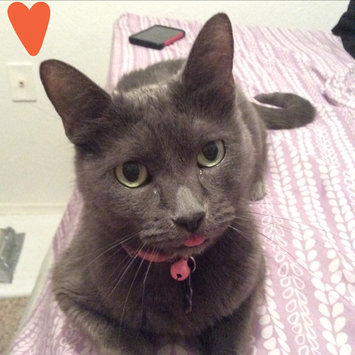 Photo of Hill's Science Diet Hill'sA Science DietA Mature Adult Senior Cat Food uploaded by Kayley W.