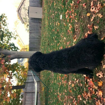 Photo of THE BLUE BUFFALO CO. BLUE™ Wilderness® Chicken For Large Breed Puppies uploaded by Amanda L.