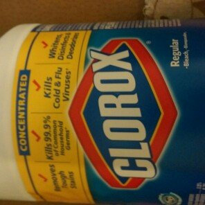 Photo of Clorox Concentrated Regular Bleach uploaded by Erica M.