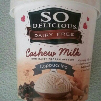 Photo of So Delicious® Cashew Milk Cappuccino Non-Dairy Frozen Dessert 1 pt. Tub uploaded by Tamara P.