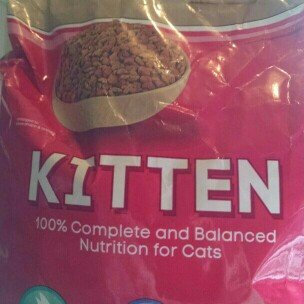 Photo of Special Kitty: For Kittens Cat Food, 56 Oz uploaded by Jennifer K.