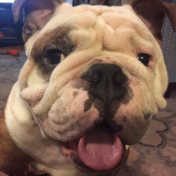 Photo of THE BLUE BUFFALO CO. BLUE™ Wilderness® Rocky Mountain Recipe™ Red Meat For Adult Dogs uploaded by Julie M.