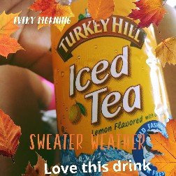 Photo of Turkey Hill Lemon Flavored Iced Tea 18.5 fl. oz. Bottle uploaded by lisaa A.