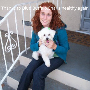 Photo of THE BLUE BUFFALO CO. BLUE™ Divine Delights® Lamb Entrée in Sauce Wet Dog Food uploaded by Meira S.