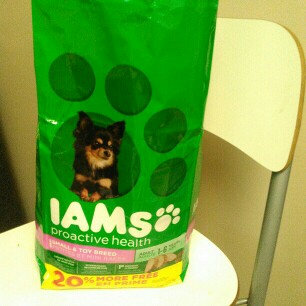 Photo of Iams™ Proactive Health™ Adult Small & Toy Breed Dog Food uploaded by Araceli P.