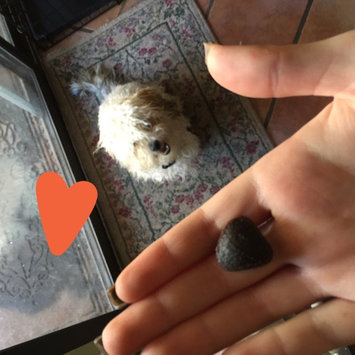 Photo of Supreme Quality Pet Foods Supreme Healthy Max Hip and Joint Dog Treat uploaded by Karlee A.