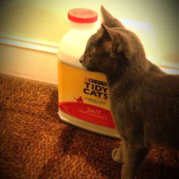 Photo of Tidy Cats Scoop 24/7 Performance Cat Litter uploaded by Margarita M.