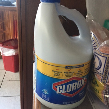 Photo of Clorox Concentrated Regular Bleach uploaded by Ana J.