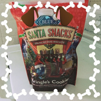 Photo of THE BLUE BUFFALO CO. BLUE™ SantaSnacks® Oatmeal & Cinnamon Crunchy Dog Biscuits Dog Treat uploaded by Amanda R.