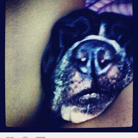 Photo of ASPCA uploaded by Joanna M.