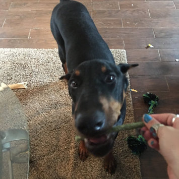 Photo of United Pet Group Dingo Dental Sticks for Tartar Control 48pk Value Bag uploaded by Lauren L.