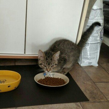Photo of Hill's Science Diet Hill'sA Science DietA Indoor Kitten Food uploaded by Susan S.