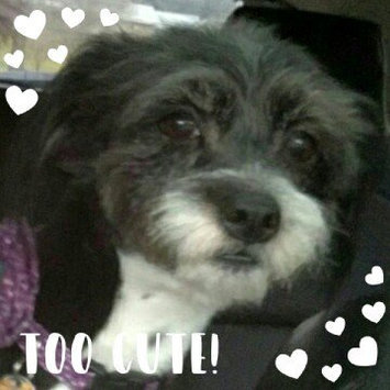 Photo of Burt's Bees Burts Itch Soothing Dog Spray uploaded by Tonya H.
