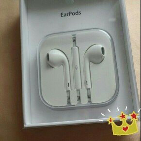 Apple EarPods with Remote and Mic